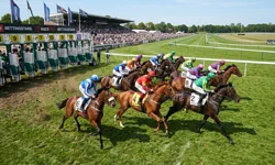 Horse racing betting market at ZAR Casino South Africa